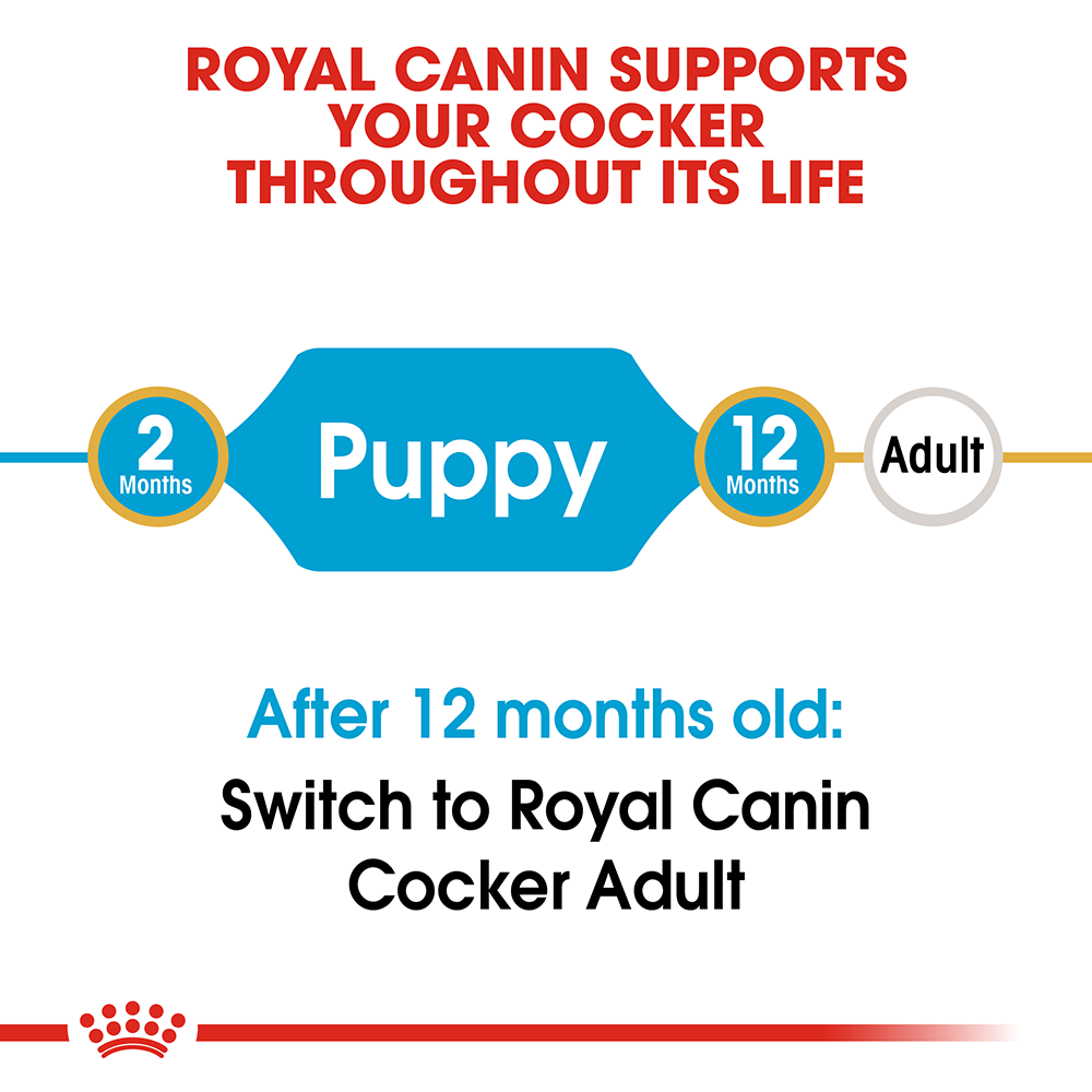 ROYAL CANIN Cocker Spaniel Puppy Dry Dog Food 3kg - Image 2