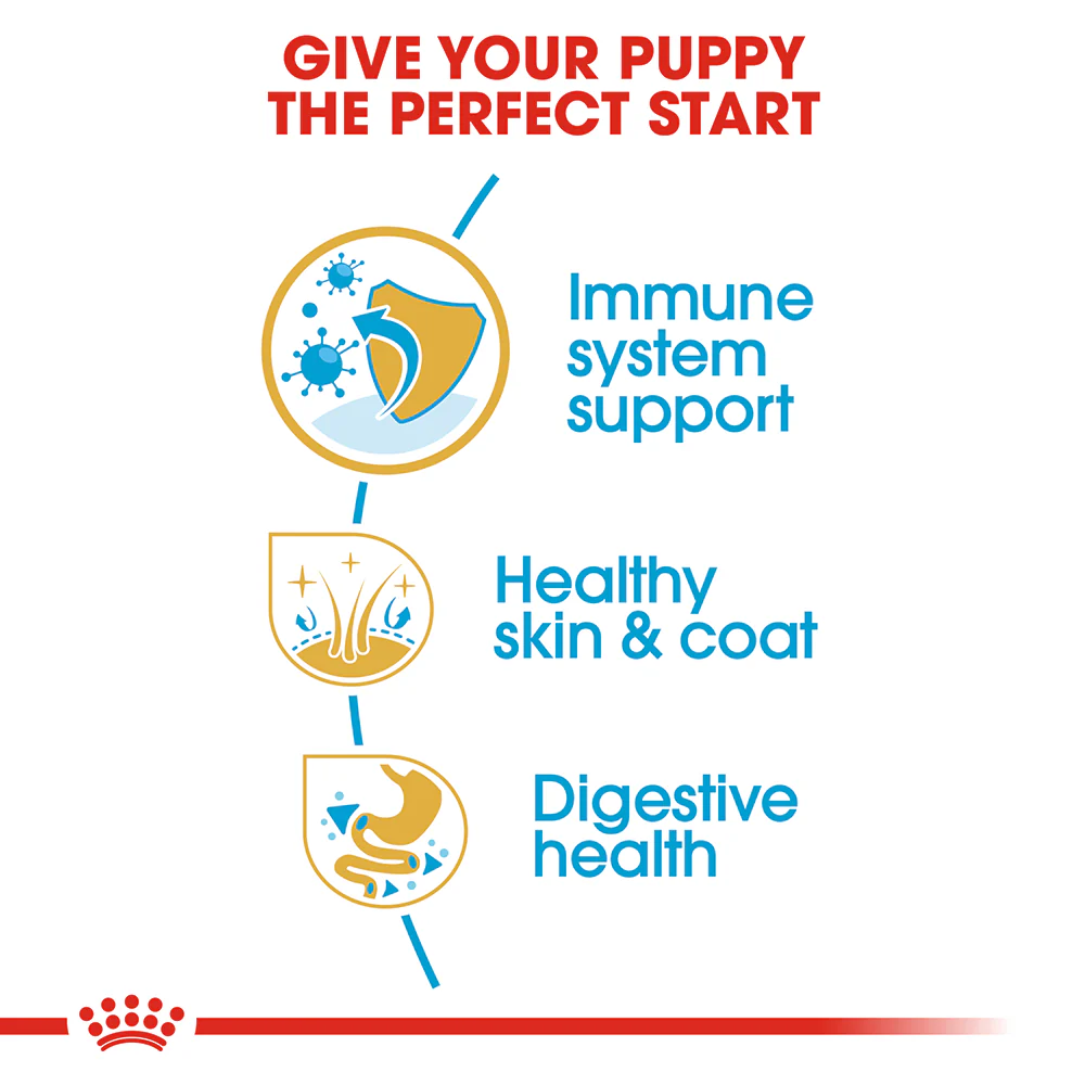 ROYAL CANIN Cocker Spaniel Puppy Dry Dog Food 3kg - Image 4