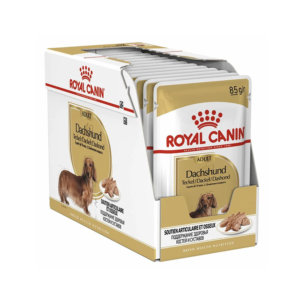 ROYAL CANIN Dachshund Adult Wet Dog Food