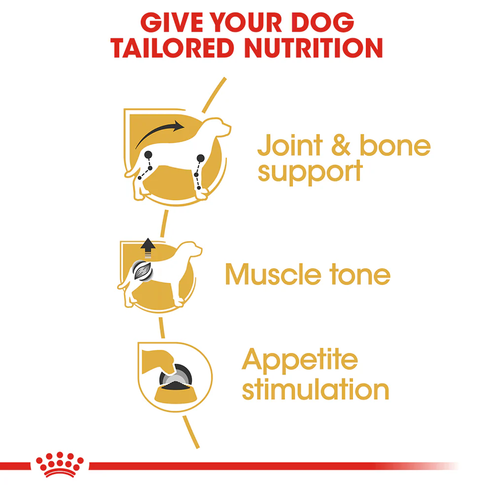 ROYAL CANIN Dachshund Adult Wet Dog Food - Image 4