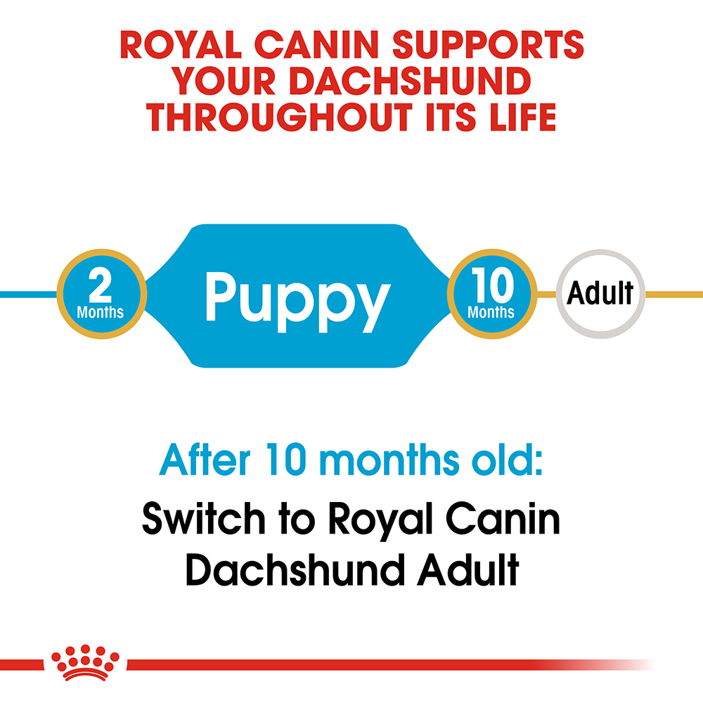 ROYAL CANIN Dachshund Puppy Dry Dog Food 1.5kg - Image 2