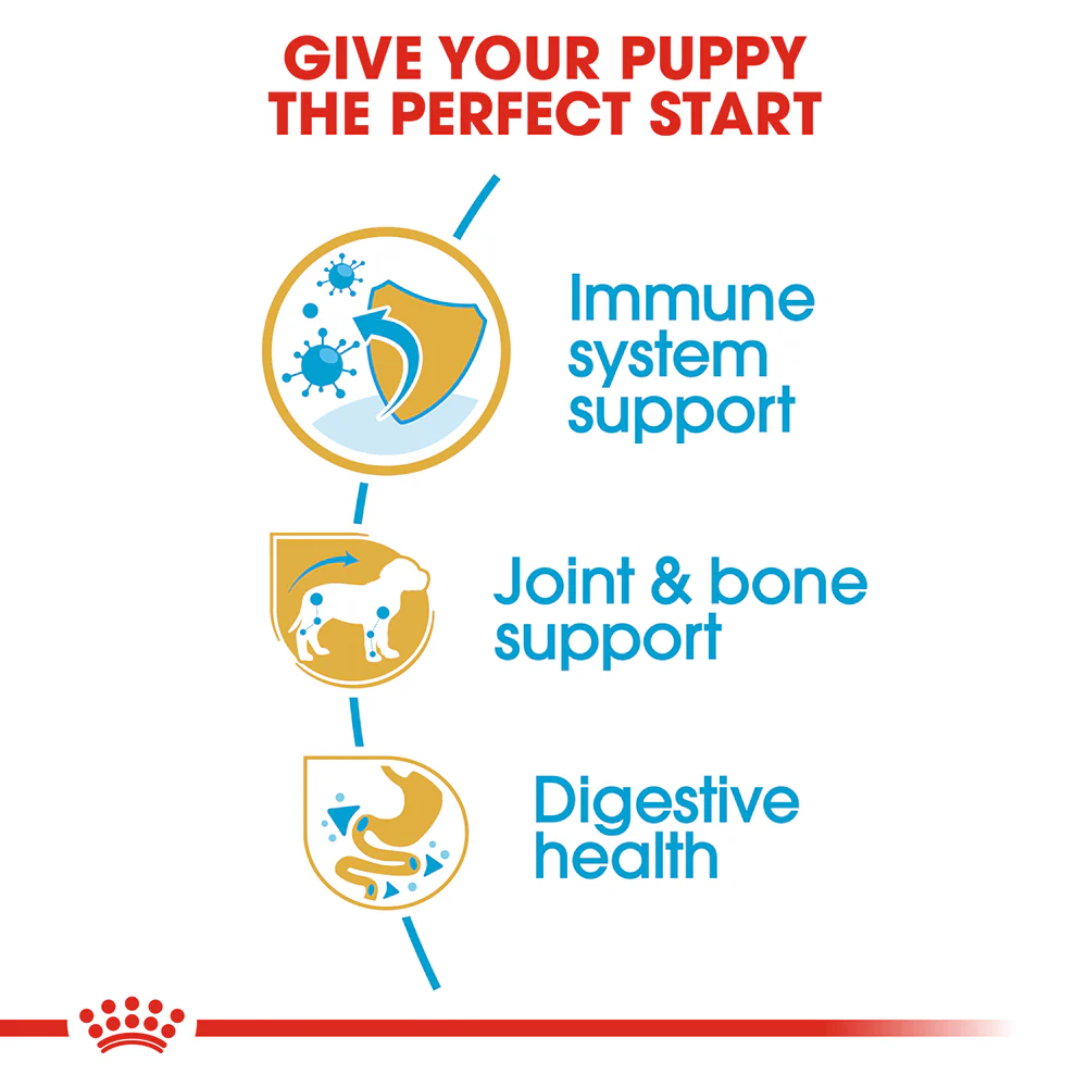 ROYAL CANIN Dachshund Puppy Dry Dog Food 1.5kg - Image 4