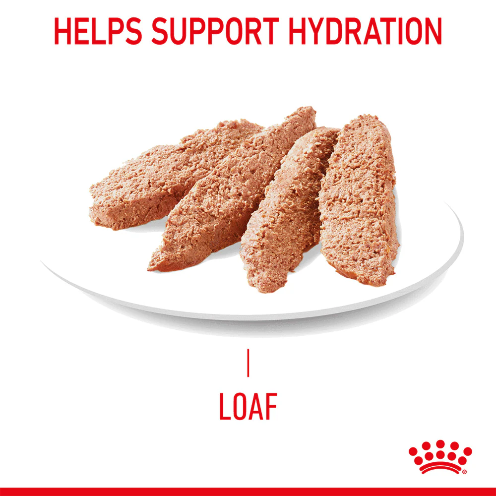 ROYAL CANIN Digestive Care Loaf Adult Wet Cat Food - Image 2