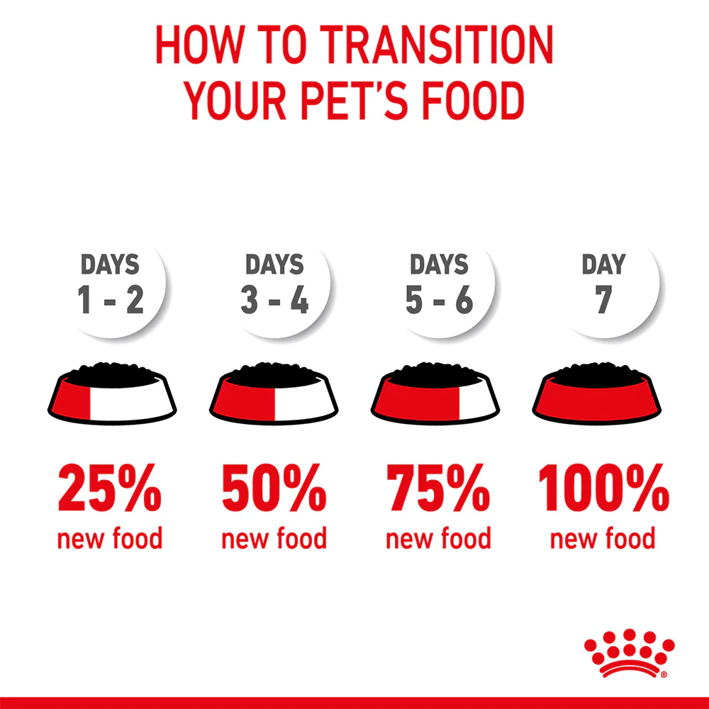 ROYAL CANIN Digestive Care Loaf Adult Wet Cat Food - Image 3