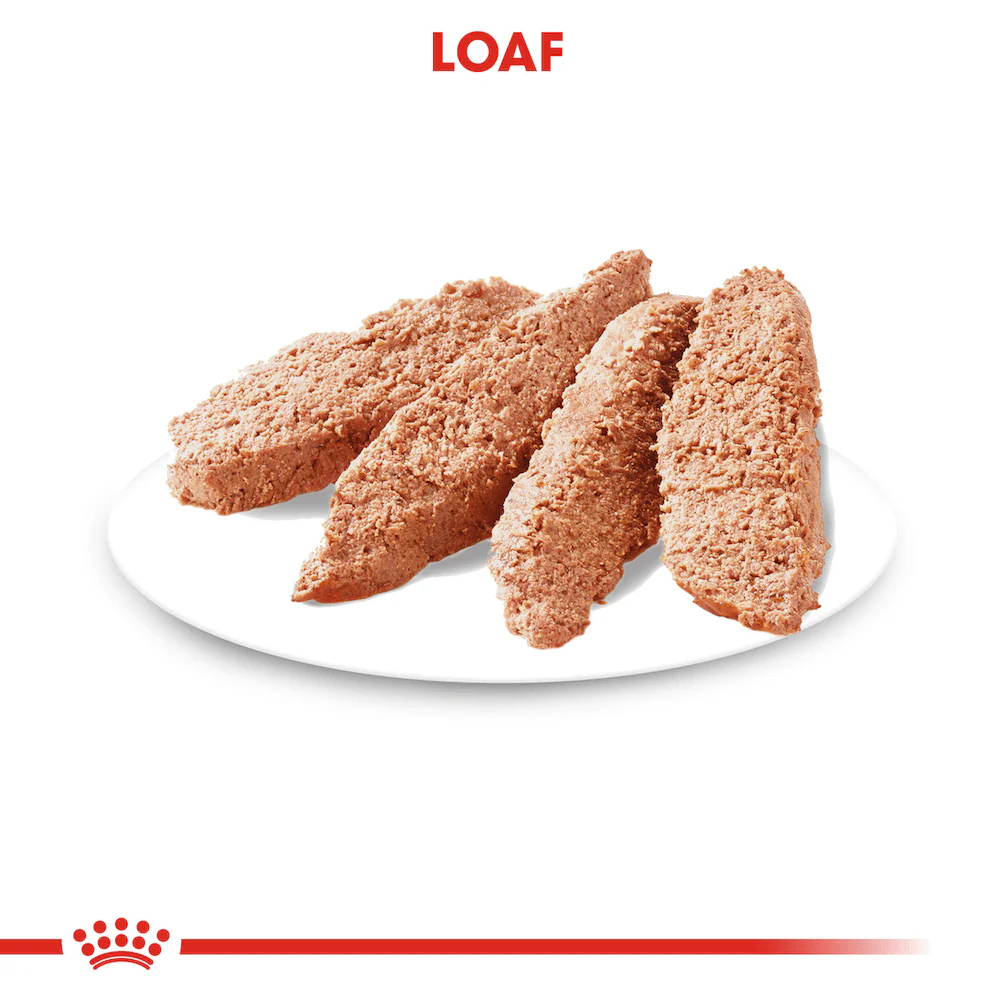 ROYAL CANIN Digestive Care Loaf Adult Wet Dog Food - Image 3