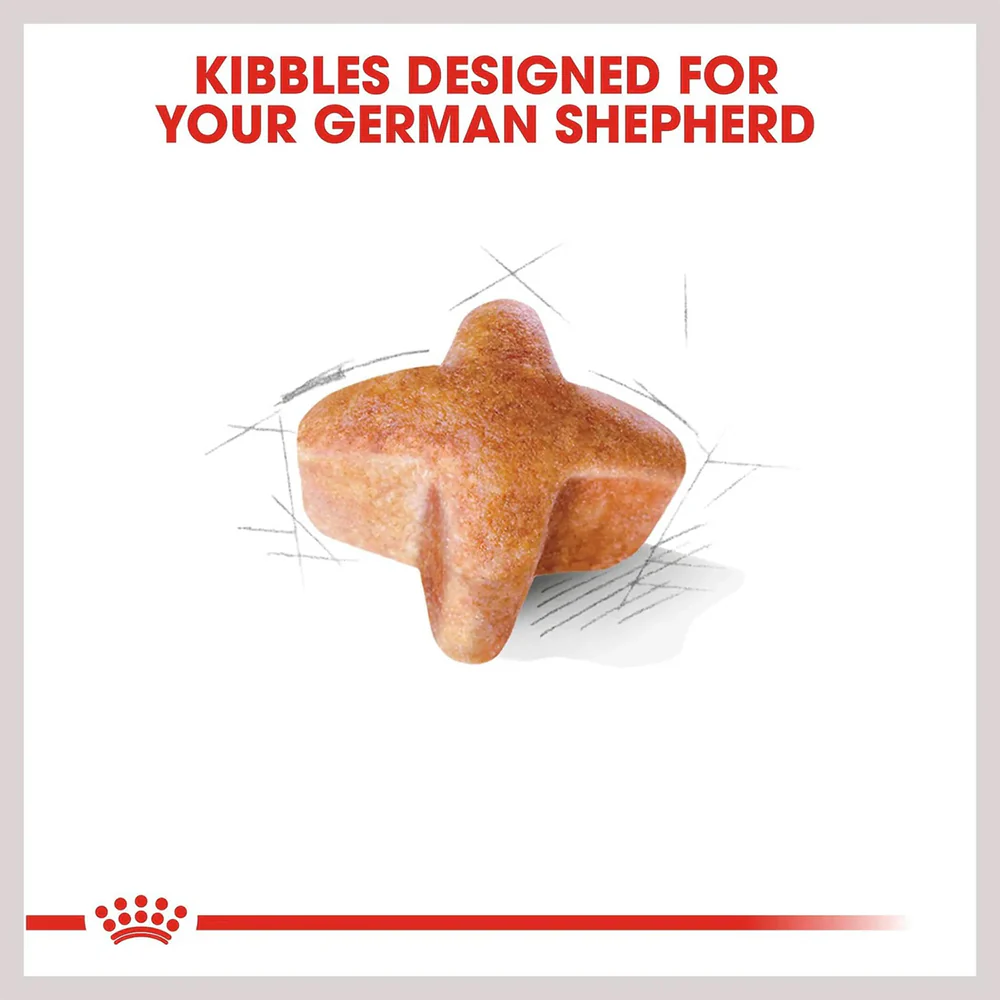 ROYAL CANIN German Shepherd 11kg - Image 4