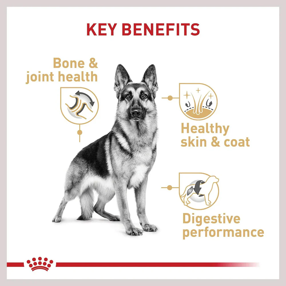 ROYAL CANIN German Shepherd 11kg - Image 5