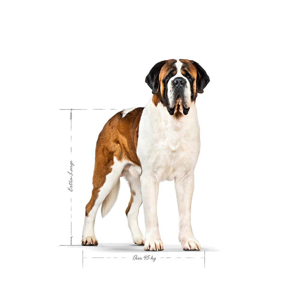 ROYAL CANIN Giant Adult Dry Dog Food 15kg - Image 3