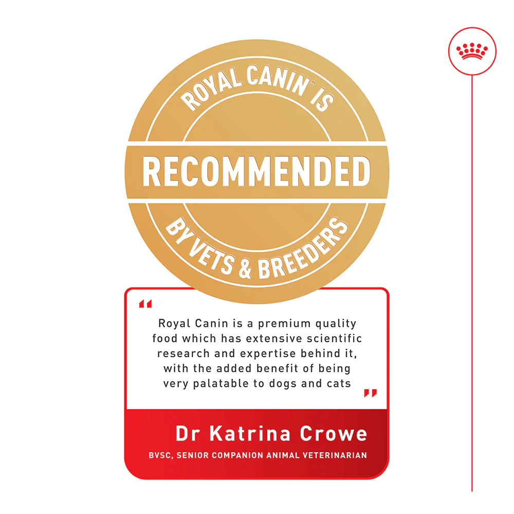 ROYAL CANIN Giant Adult Dry Dog Food 15kg - Image 4