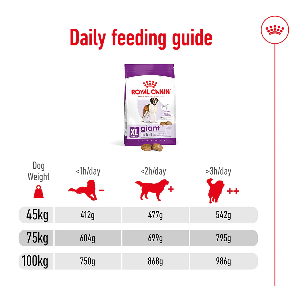 ROYAL CANIN Giant Adult Dry Dog Food 15kg - Image 5