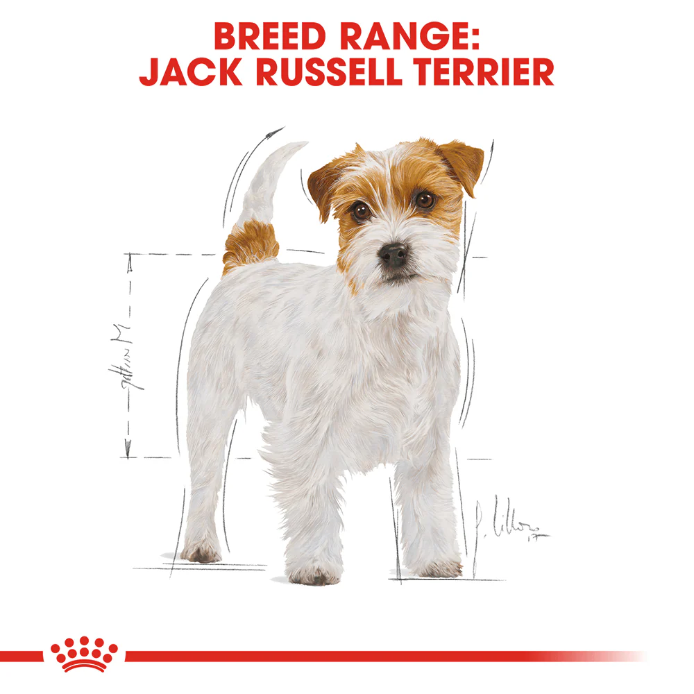 ROYAL CANIN Jack Russell Terrier Adult Dry Dog Food 3kg - Image 2