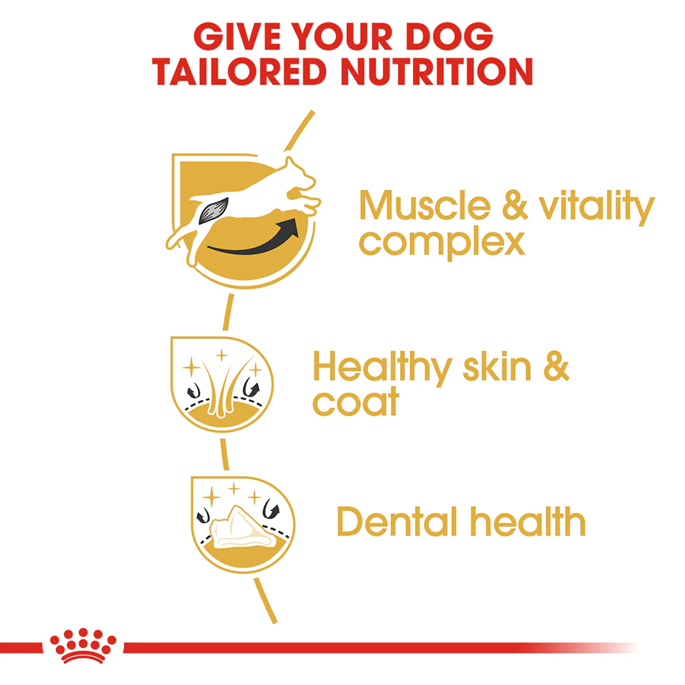 ROYAL CANIN Jack Russell Terrier Adult Dry Dog Food 3kg - Image 4