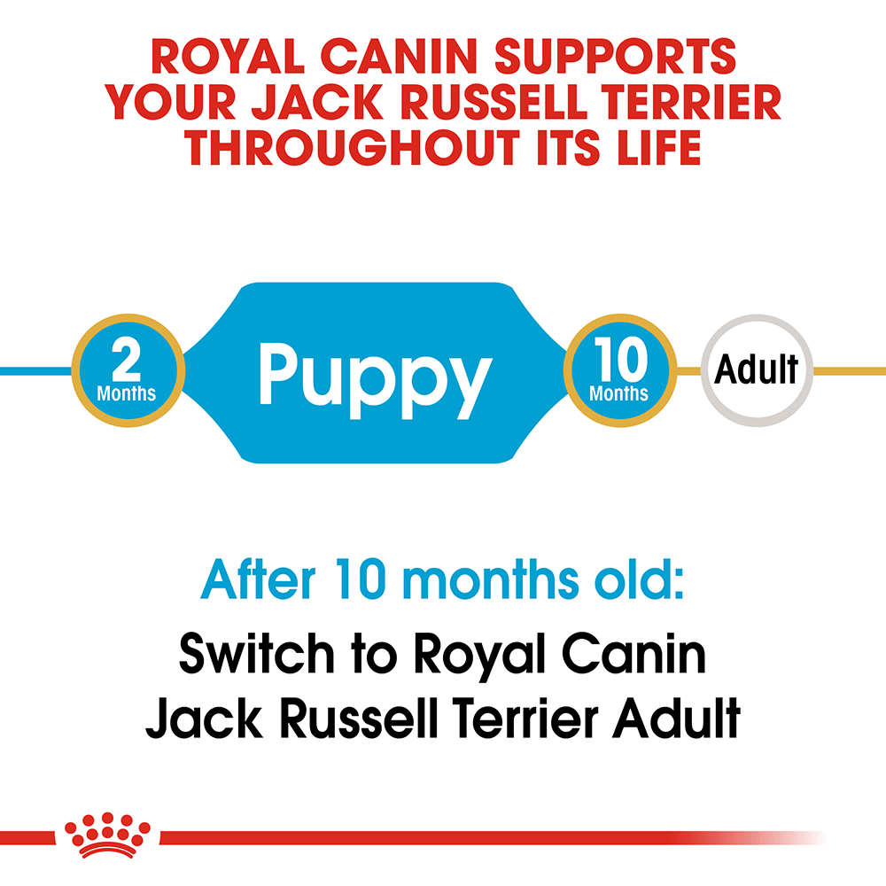 ROYAL CANIN Jack Russell Terrier Puppy Dry Dog Food 1.5kg - Image 2