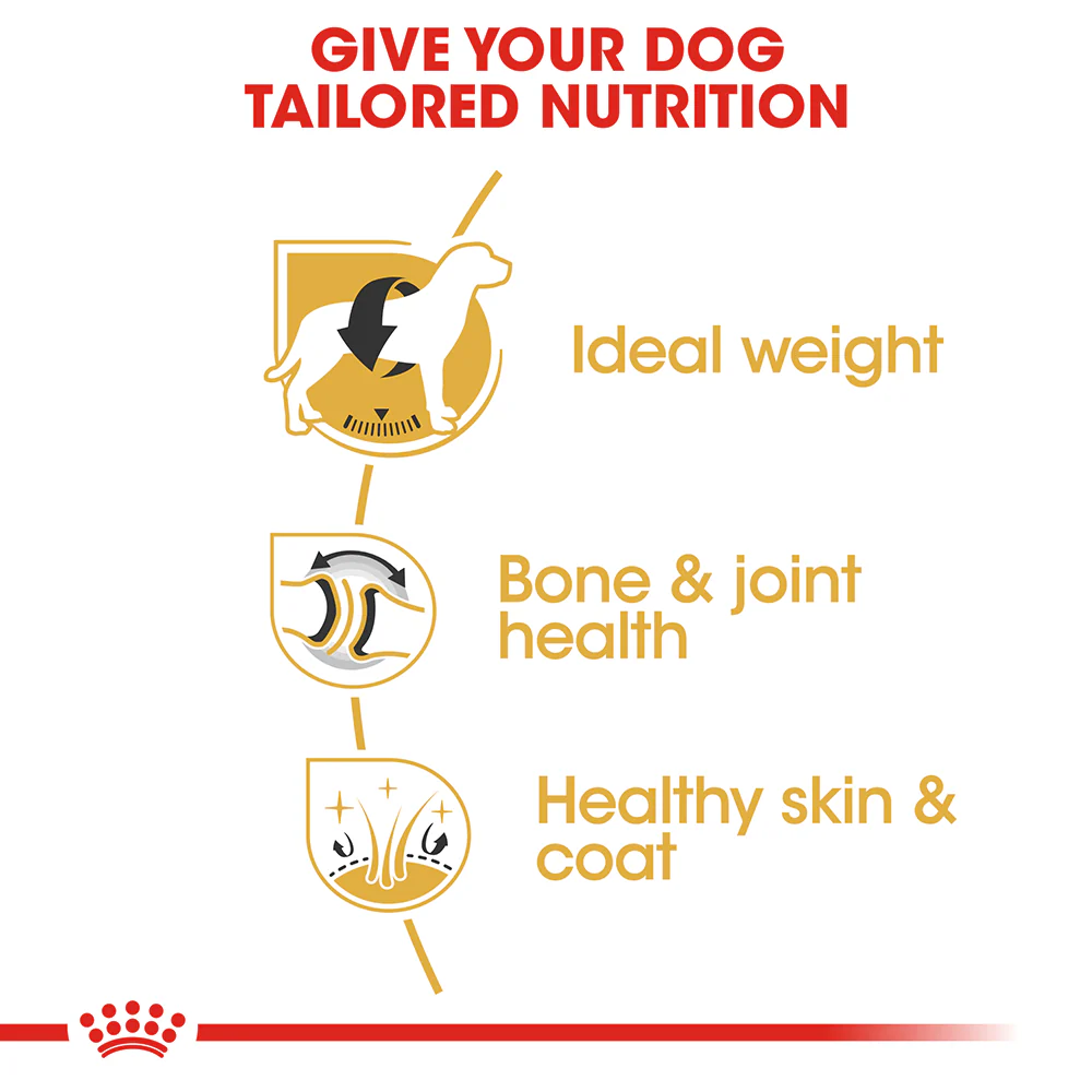 ROYAL CANIN Labrador Adult Dry Dog Food 3kg - Image 4