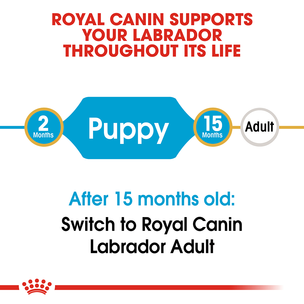 ROYAL CANIN Labrador Puppy Dry Dog Food 3kg - Image 2
