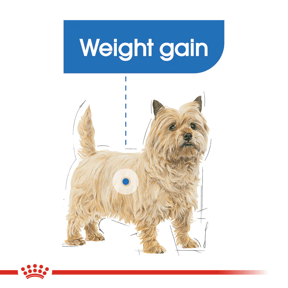 ROYAL CANIN Light Weight Care Loaf Adult Wet Dog Food - Image 2