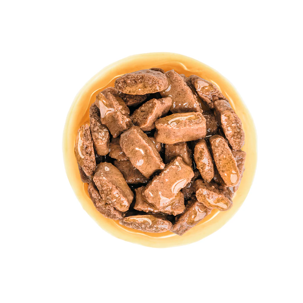 ROYAL CANIN Maxi Adult Wet Dog Food - Image 2