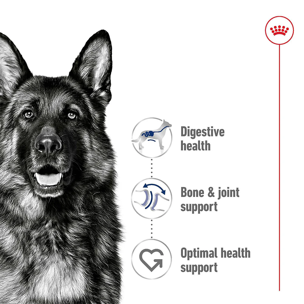 ROYAL CANIN Maxi Adult Wet Dog Food - Image 6