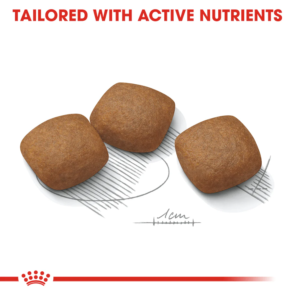 ROYAL CANIN Maxi Joint Care Adult Dry Dog Food 10kg - Image 3
