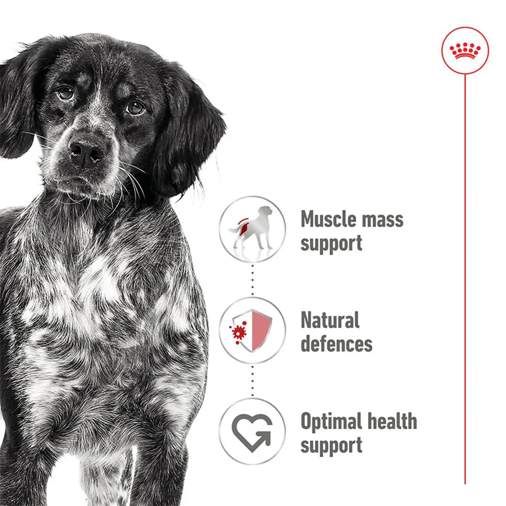 ROYAL CANIN Medium Adult Loaf Wet Dog Food - Image 3