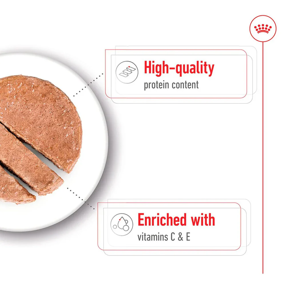 ROYAL CANIN Medium Adult Loaf Wet Dog Food - Image 6