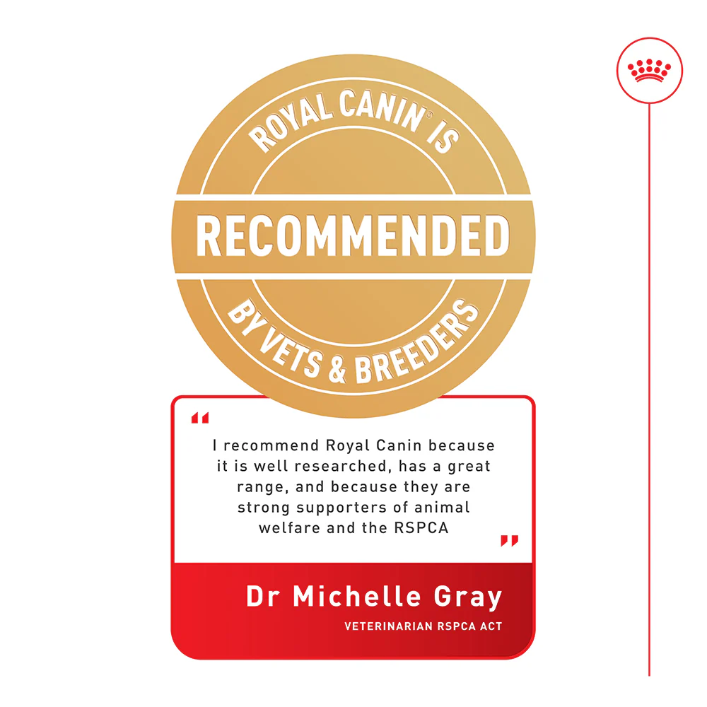 ROYAL CANIN Medium Adult Wet Dog Food - Image 4