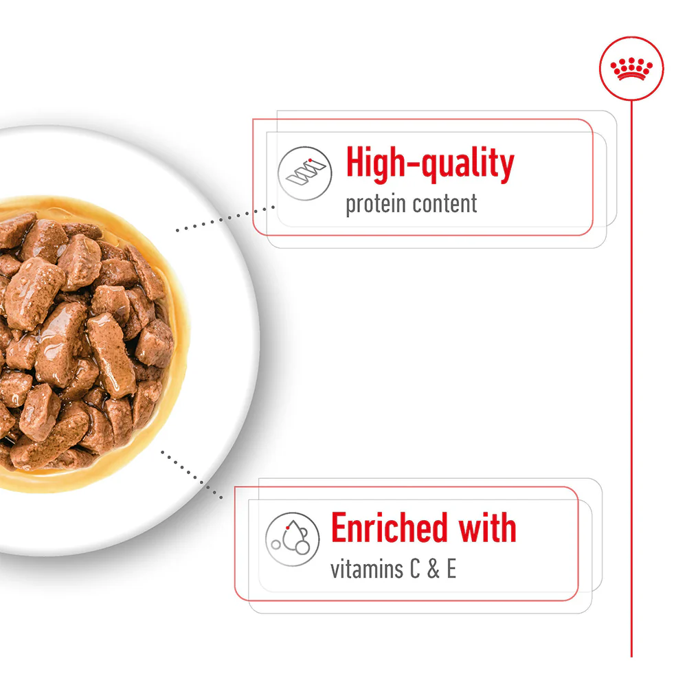 ROYAL CANIN Medium Adult Wet Dog Food - Image 7