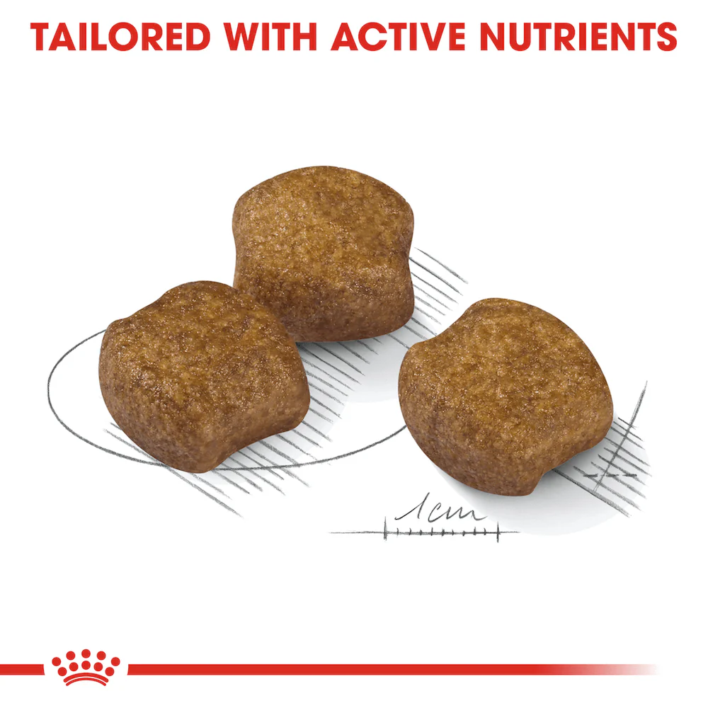 ROYAL CANIN Medium Dental Care Adult Dry Dog Food 10kg - Image 3
