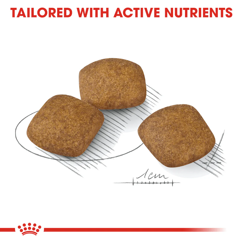 ROYAL CANIN Medium Relax Care Adult Dry Dog Food 3kg - Image 3