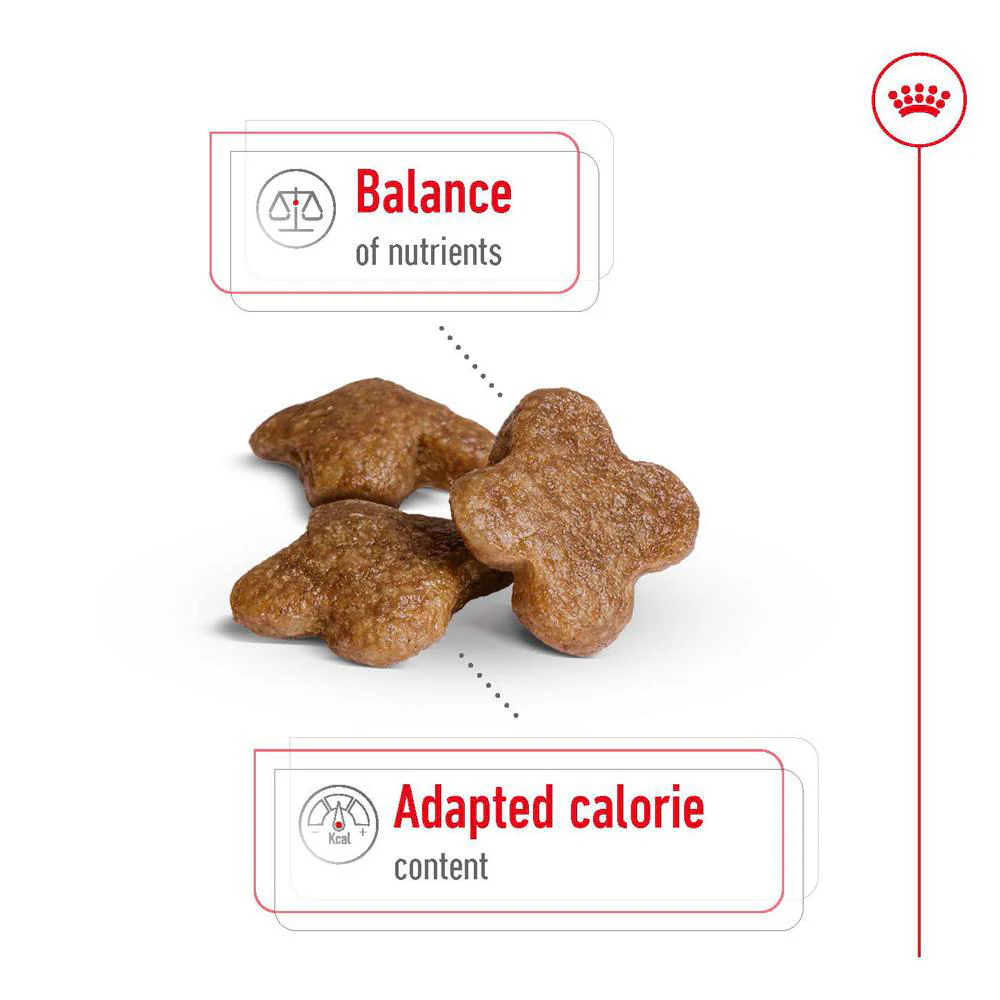 ROYAL CANIN Mini Adult 8+ Dry Dog Food 2kg - Image 5