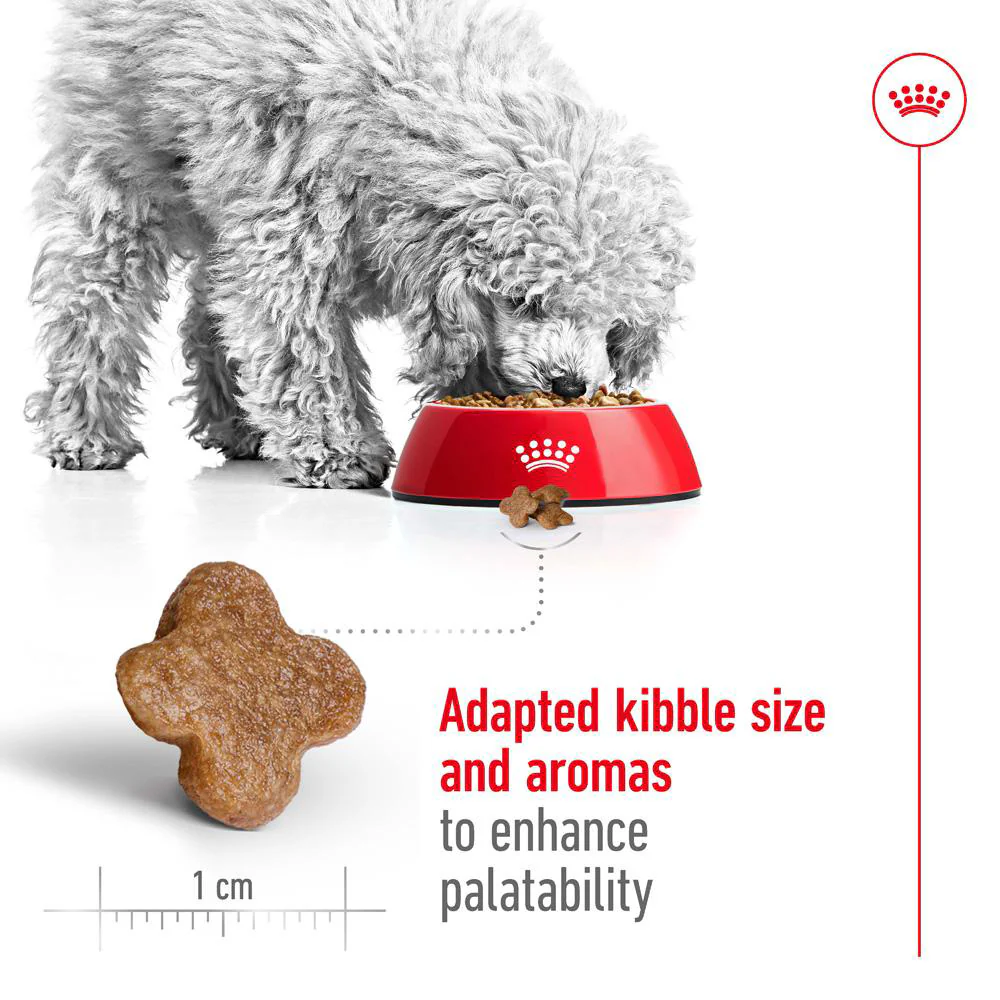 ROYAL CANIN Mini Adult 8+ Dry Dog Food 2kg - Image 6