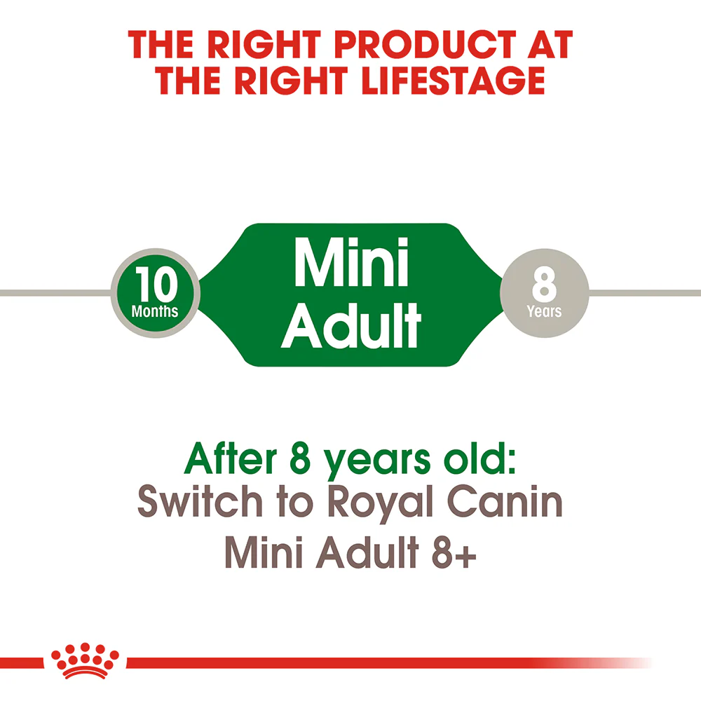 ROYAL CANIN Mini Adult Dry Dog Food 4kg - Image 2
