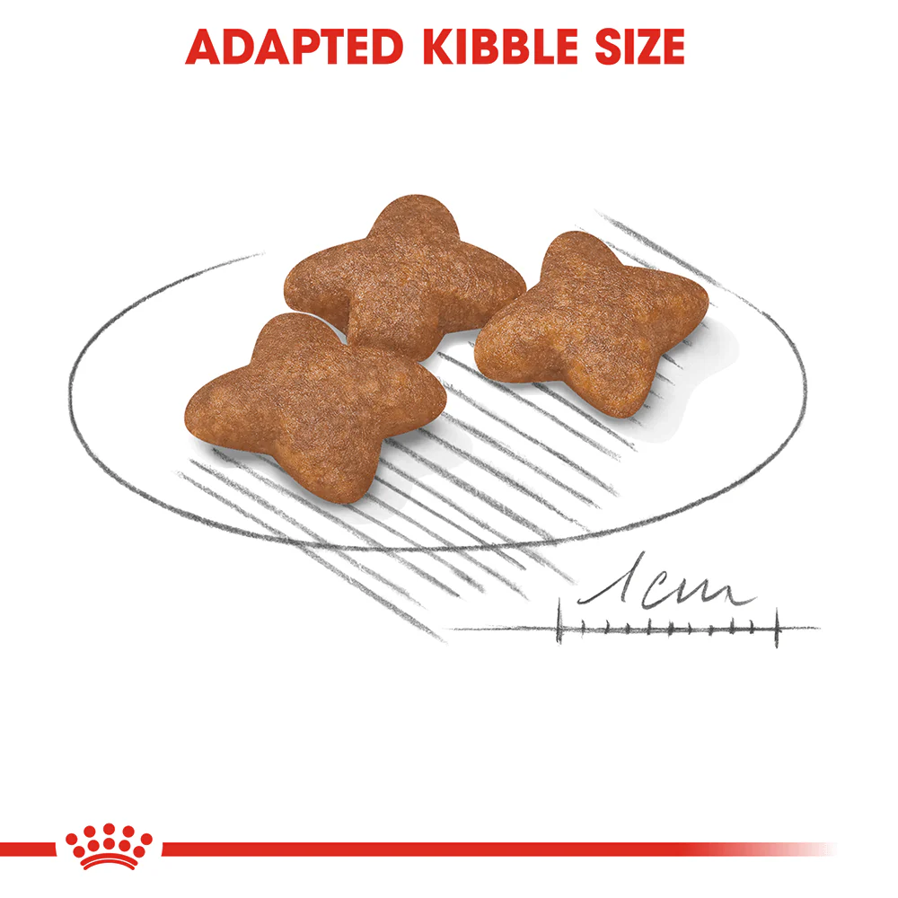 ROYAL CANIN Mini Adult Dry Dog Food 4kg - Image 4