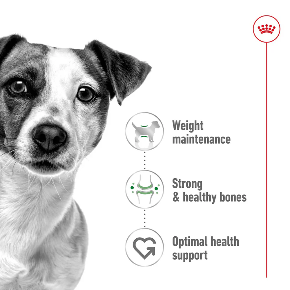 ROYAL CANIN Mini Adult Wet Dog Food - Image 4