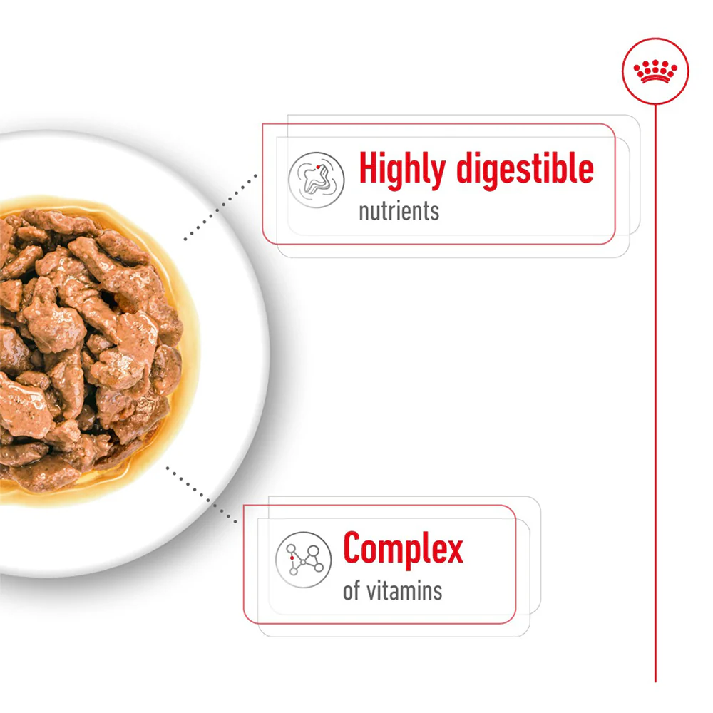 ROYAL CANIN Mini Adult Wet Dog Food - Image 5