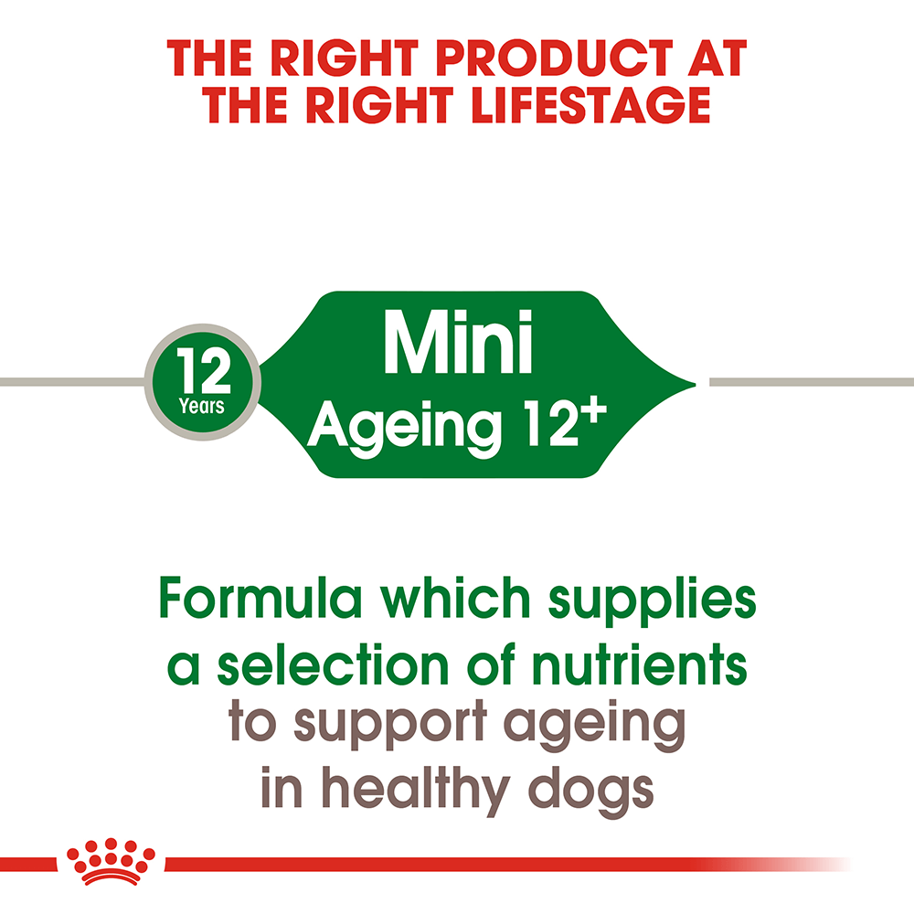 ROYAL CANIN Mini Ageing 12+ Dry Dog Food 1.5kg - Image 2