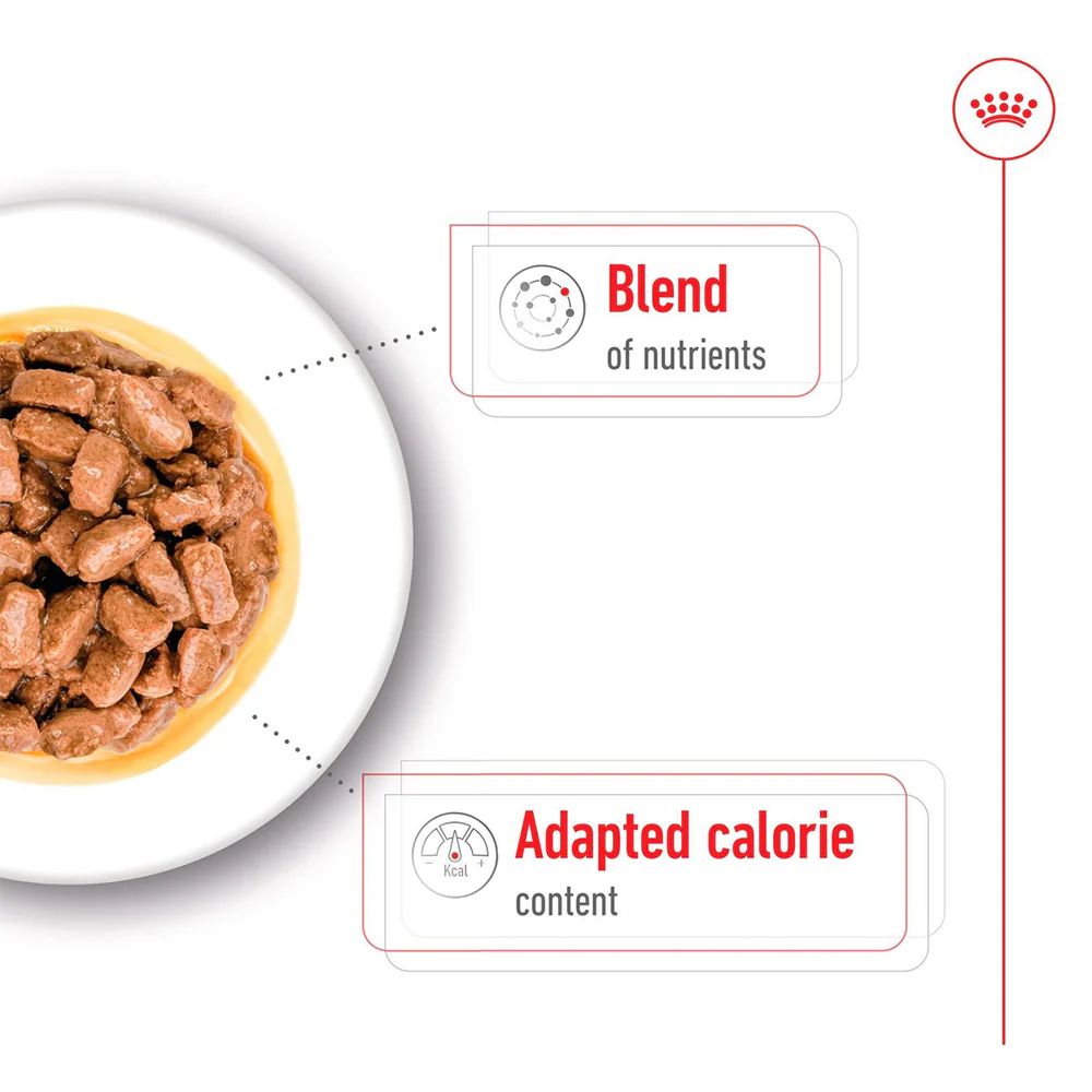 ROYAL CANIN Mini Ageing 12+ Wet Dog Food 85g x 12 - Image 5
