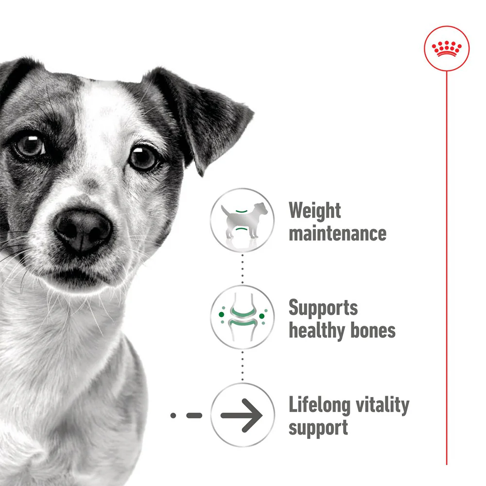 ROYAL CANIN Mini Ageing 12+ Wet Dog Food 85g x 12 - Image 6