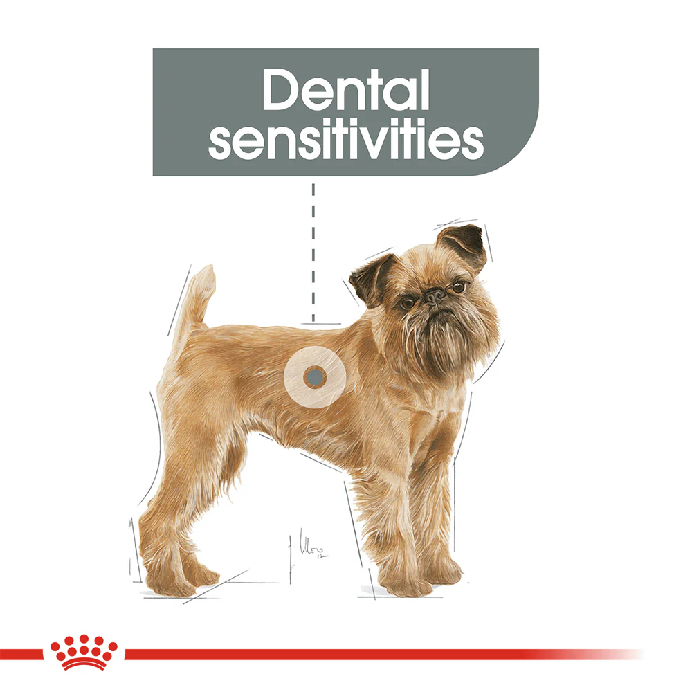 ROYAL CANIN Mini Dental Care Adult Dry Dog Food 3kg - Image 2