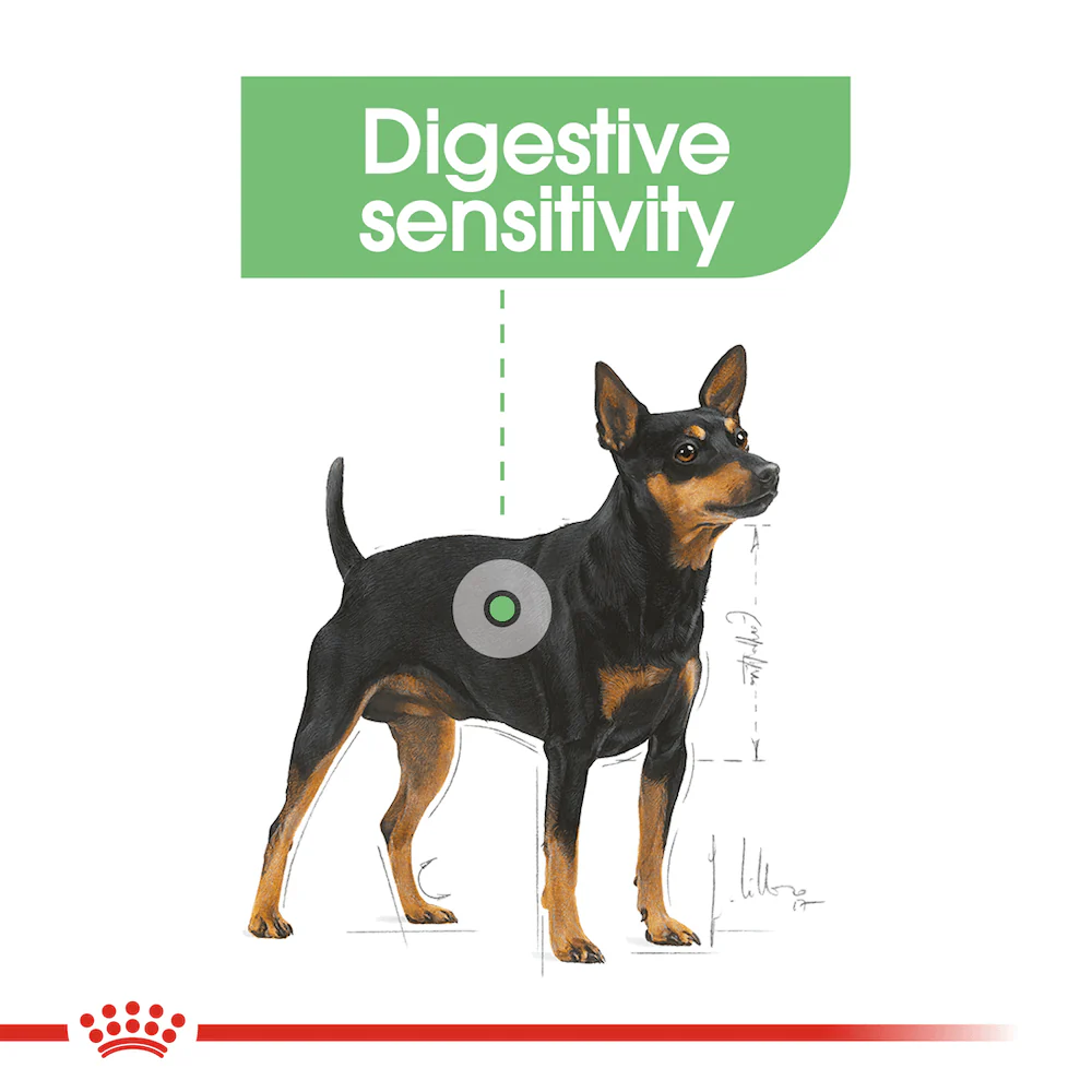 ROYAL CANIN Mini Digestive Care Adult Dry Dog Food 8kg - Image 2