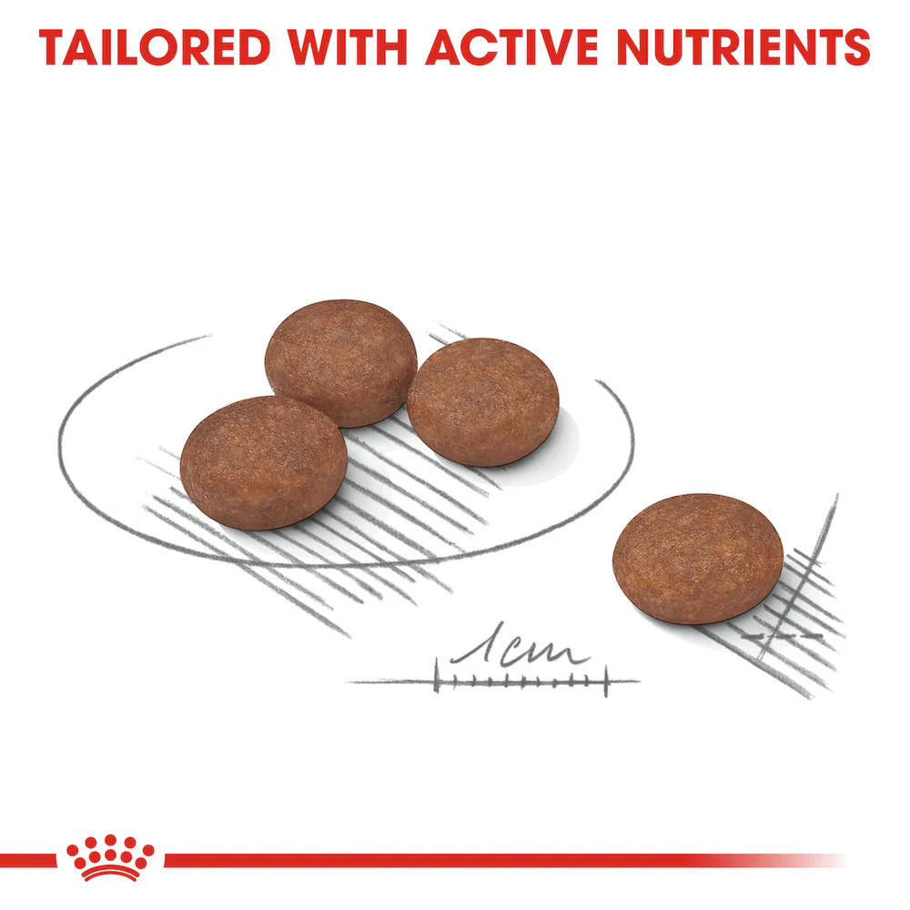 ROYAL CANIN Mini Digestive Care Adult Dry Dog Food 8kg - Image 3