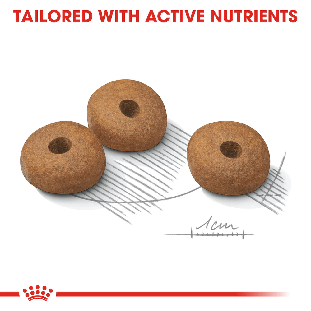 ROYAL CANIN Mini Light Weight Care Adult Dry Dog Food 3kg - Image 3