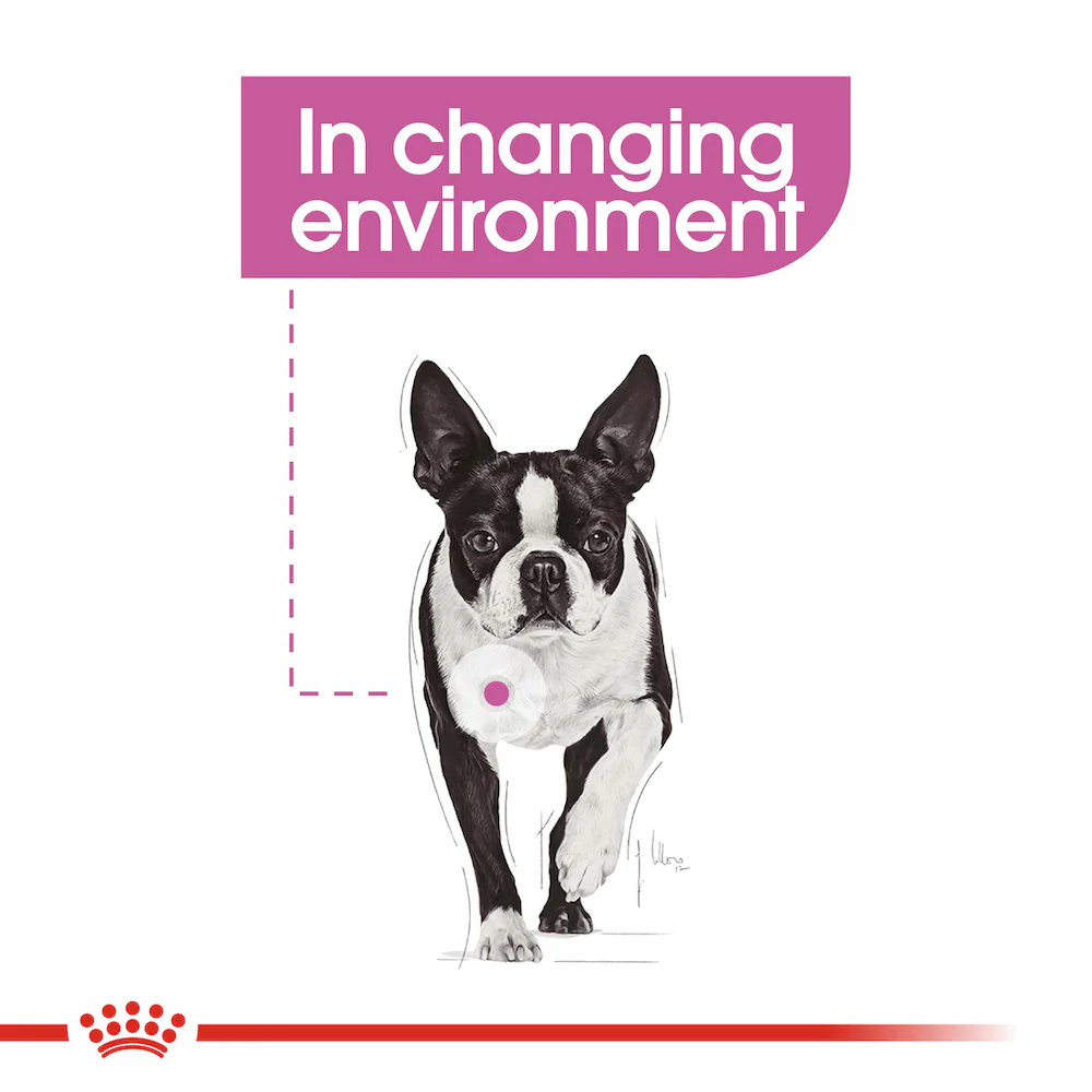 ROYAL CANIN Mini Relax Care Adult Dry Dog Food 3kg - Image 2