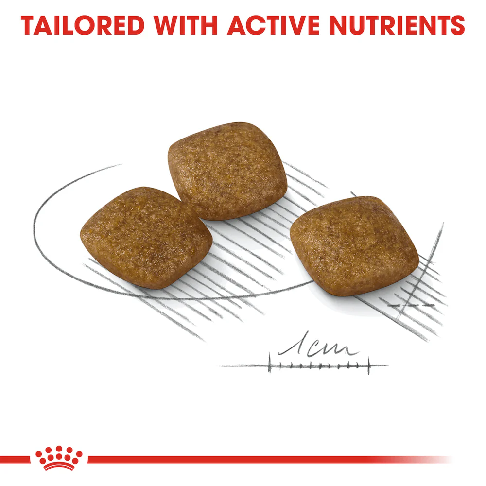 ROYAL CANIN Mini Relax Care Adult Dry Dog Food 3kg - Image 3