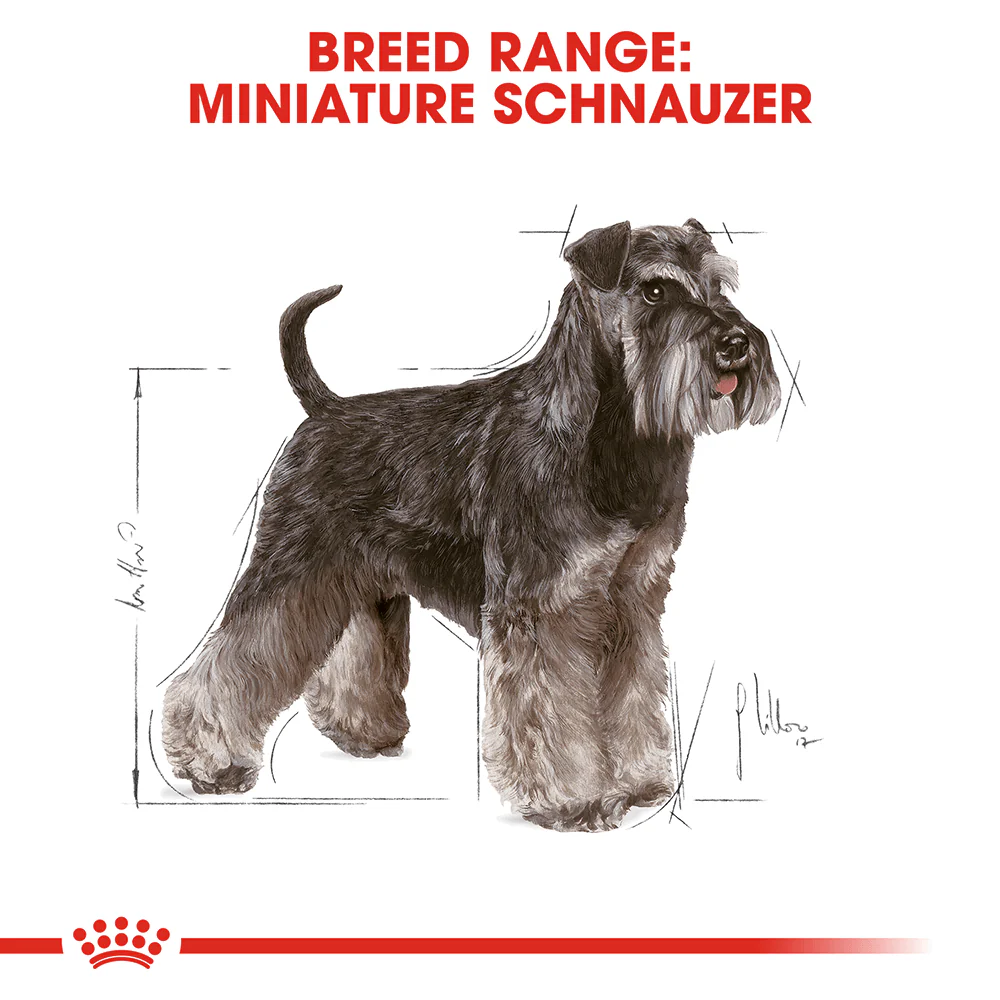 ROYAL CANIN Miniature Schnauzer Adult Dry Dog Food 3kg - Image 2