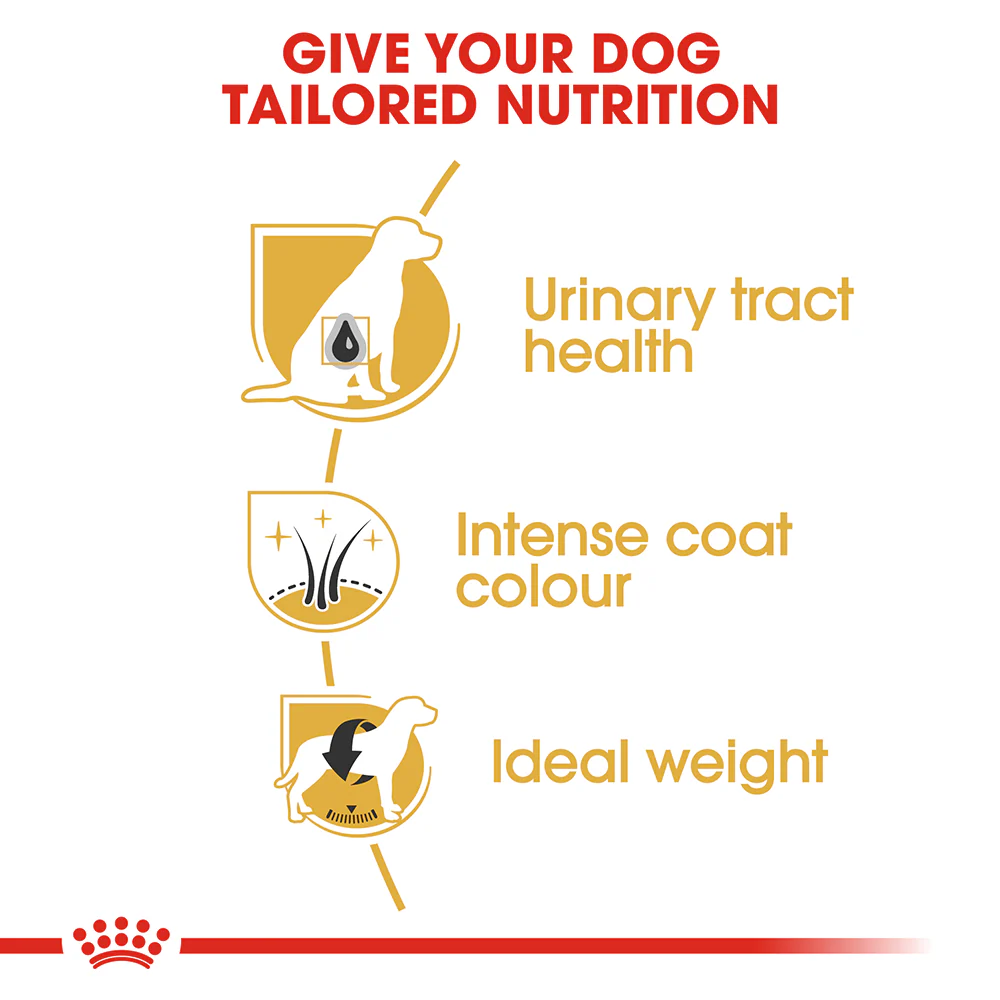 ROYAL CANIN Miniature Schnauzer Adult Dry Dog Food 7.5kg - Image 4