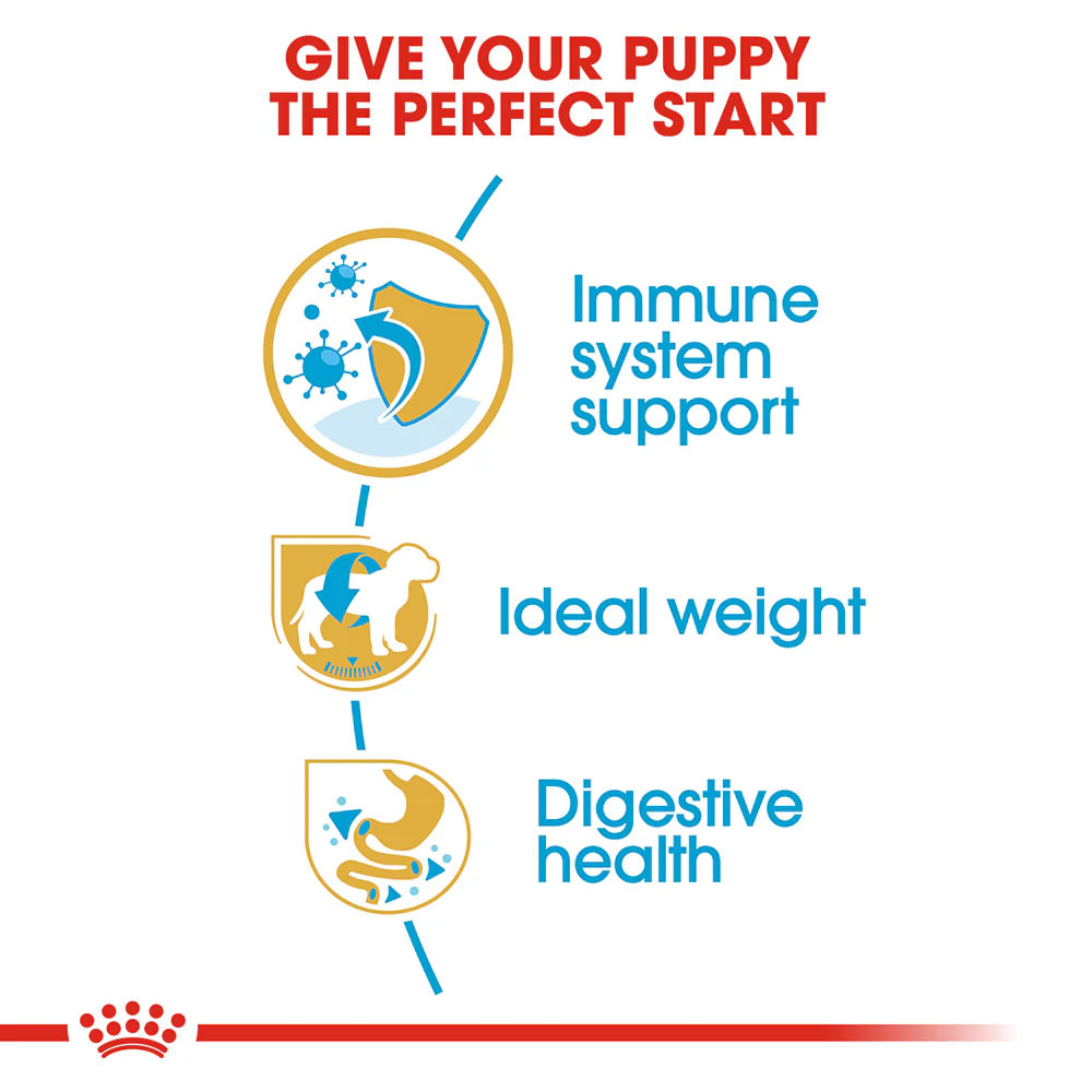 ROYAL CANIN Miniature Schnauzer Puppy Dry Dog Food 1.5kg - Image 4