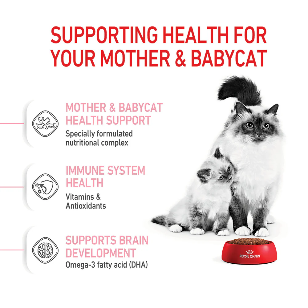 ROYAL CANIN Mother & Babycat Dry Cat Food 4kg - Image 3