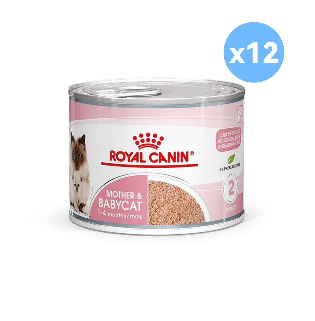 ROYAL CANIN Mother & Babycat Mousse Wet Cat Food