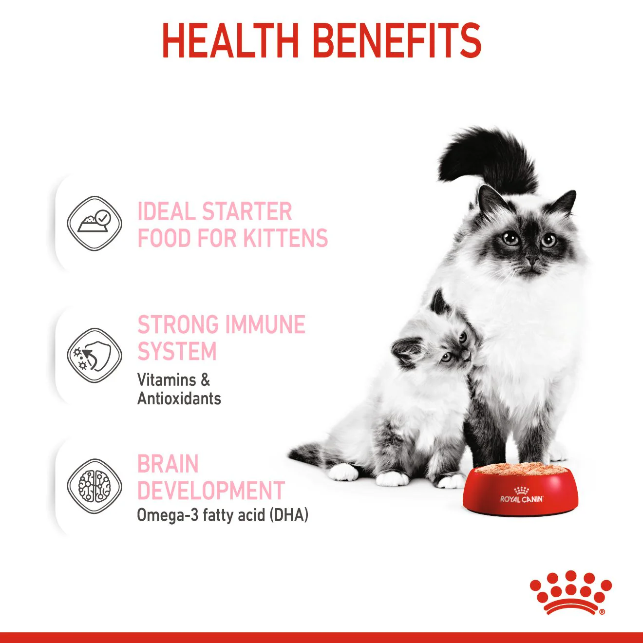 ROYAL CANIN Mother & Babycat Mousse Wet Cat Food - Image 3